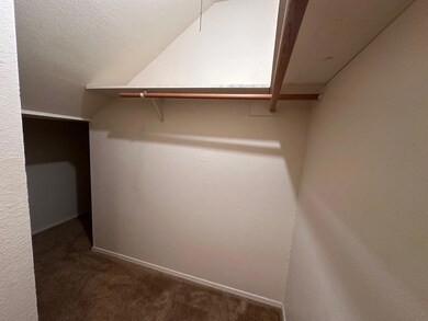 Spacious closet with carpet and vaulted ceiling