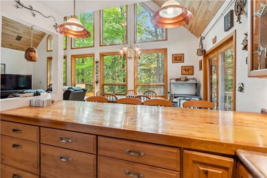 View to chalet windows from kitchen