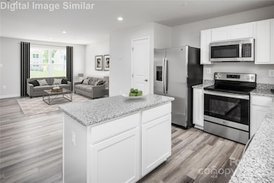 1202 Elm Forest Ln, China Grove, NC 28023 - photo 3