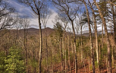 Additional View