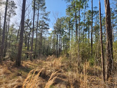 1038 Counts Rd, Point Blank, TX 77364 - photo 2