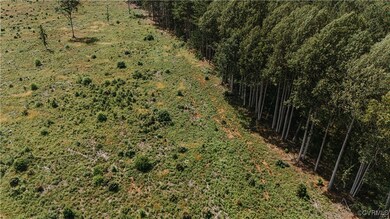 00 Holly Tree Dr, Pamplin, VA 23958 - photo 5