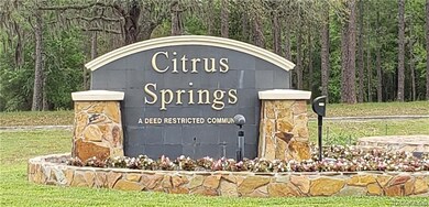 3459 W Dittany Dr, Citrus Springs, FL 34433 - photo 2