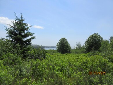 Property with view
