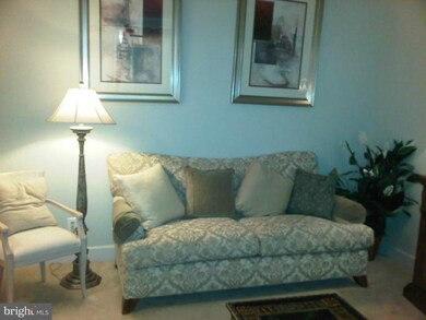 9231 Ribbon Falls Loop, Bristow, VA 20136 - photo 5