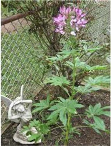 247 Westbrook Dr, Clifton Heights, PA 19018 - photo 6