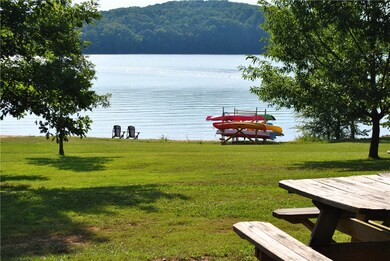 Lake Hartwell Shoreline & Kayak Storage
