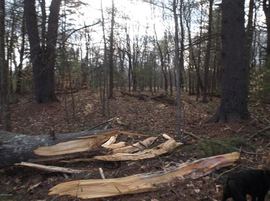 0 Pensyl Creek Rd unit PM-66319, Hamilton Township, PA 18360 - photo 7