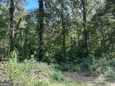 966 Judkin Mill Rd, Cedartown, GA 30125 - photo 2