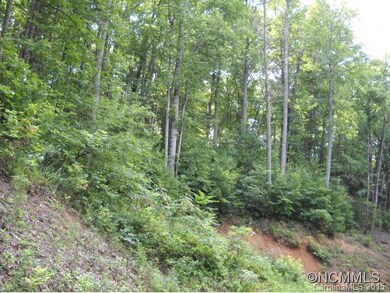 000 Tryst Dr, Asheville, NC 28805 - photo 6