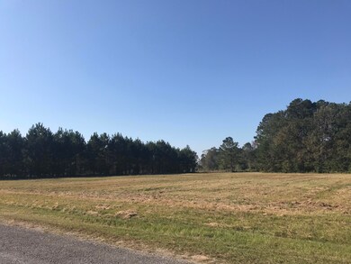 1.75 Acres Katie Eubanks Rd, Lucedale, MS 39452 - photo 3