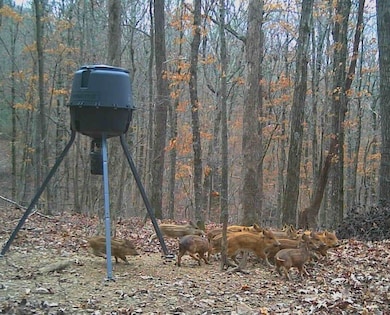 0 Madison 4099 unit 1322233, Crosses, AR 72727 - photo 7