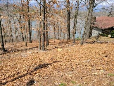 23 Aldridge Ln, Bella Vista, AR 72715 - photo 4