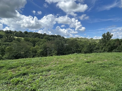 1 Chicken Creek Rd, Pulaski, TN 38478 - photo 4