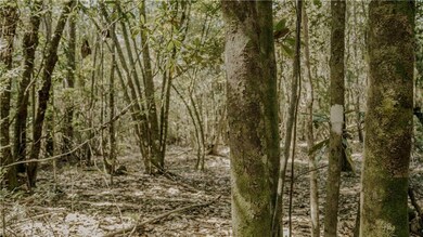 0 Hwy 1083 (Ben Williams Rd ) Hwy, Covington, LA 70435 - photo 4