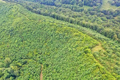 0 Mayberry Prong Rd unit 2182866, Linden, TN 37096 - photo 5