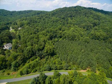 LOT 38 Blandemar Dr, Samuel Miller, VA 22903 - photo 2