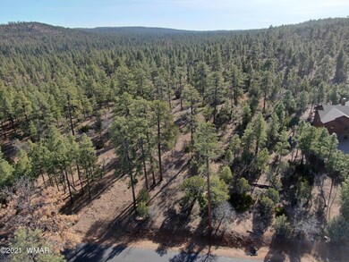 3121 Sage Ln, Show Low, AZ 85901 - photo 3