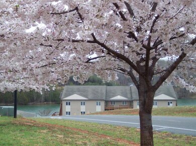 MV with cherry blossoms