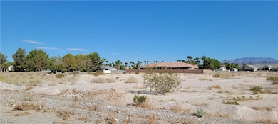 7026 Farm Rd, Las Vegas, NV 89131 - photo 2