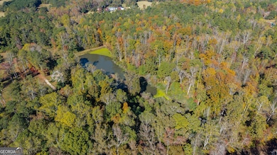 0 Roy Morgan Rd unit 17.44 ACRES, Carrollton, GA 30116 - photo 7