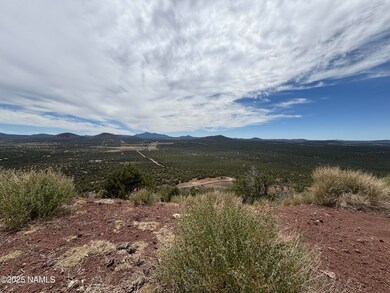 1123 E Broken Arrow Dr, Red Lake, AZ 86046 - photo 4