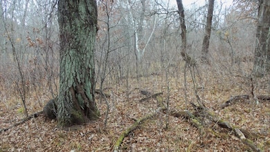 Lot 1 300th St, Sterling Township, WI 54024 - photo 6