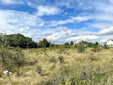 5048 Smokethorn Trail, Belvidere, IL 61008 - photo 7