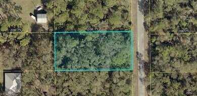 1905 Mcarthur Ave, Lehigh Acres, FL 33972 - photo 2