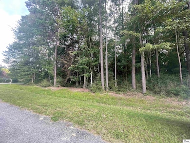 000 Easy St, Chatham, LA 71226 - photo 5