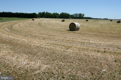 4 Canterbury Rd, Milford, DE 19963 - photo 2