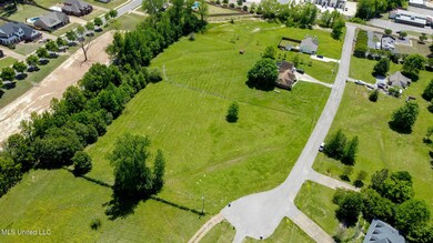 DJI_0521