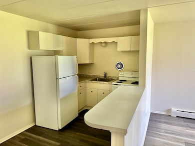 250 N Entrance Ave unit 4B, Kankakee, IL 60901 - photo 3