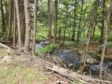 0 Pole Bridge Rd unit LOT 39 WB-100451, Laporte Township, PA 17758 - photo 4