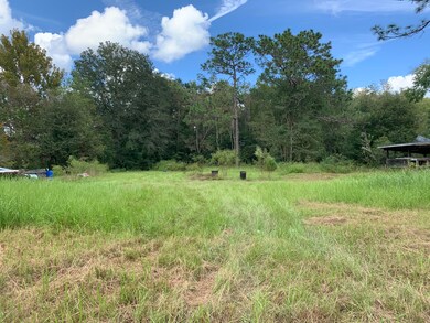 3898 Darlene Rd, Middleburg, FL 32068 - photo 3