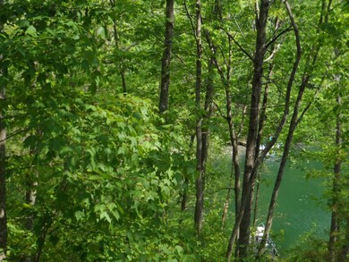 172 Canterbury Dr, Crossville, TN 38558 - photo 6