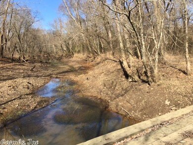 9 Cedar Glade, Pangburn, AR 72121 - photo 3