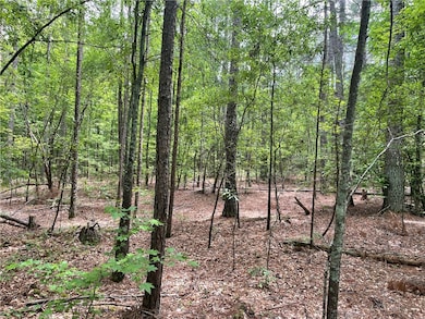 00 Clatworthy Rd, Honea Path, SC 29654 - photo 3