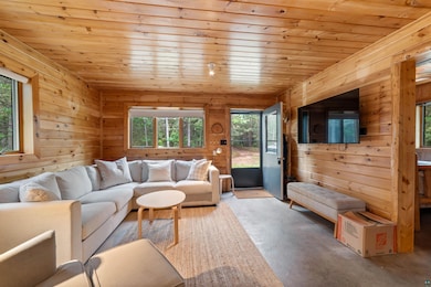 Living area featuring wood ceiling, wood walls, and light carpet