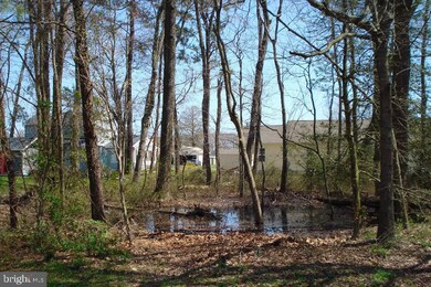 6 W Ocean Dr, Dagsboro, DE 19939 - photo 2
