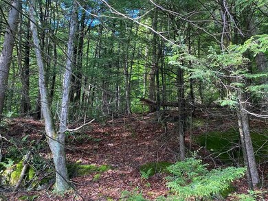 0 Old Swanzey Rd unit Map 18 Lot B004, Chesterfield, NH 03462 - photo 6