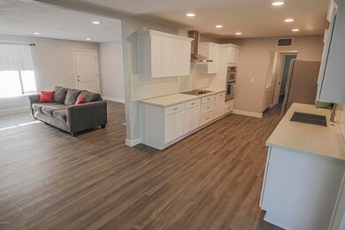 Kitchen and Living room