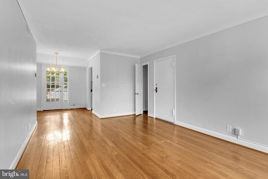 2971 S Columbus St unit B1, Arlington, VA 22206 - photo 3