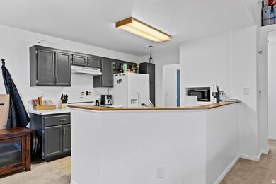 Kitchen with light countertops, light carpet, gray cabinetry, white fridge with ice dispenser, and under cabinet range hood