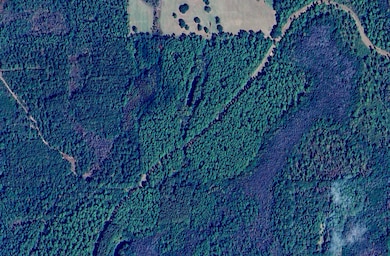 5 Canopy Oak Blvd, Bonifay, FL 32425 - photo 2