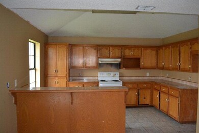 508 Tulip Cir, Alamo, TX 78516 - photo 5