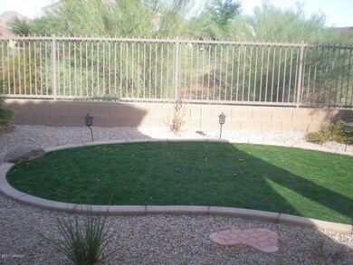 Back yard