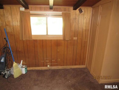 101 Ferry Rd, Geneseo, IL 61254 - photo 7