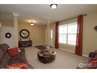 2525 E 141st Place, Thornton, CO 80602 - photo 3