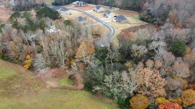 Lot 11 Summertree Way, Arab, AL 35016 - photo 4